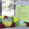 Turmeric Latte - Image 4